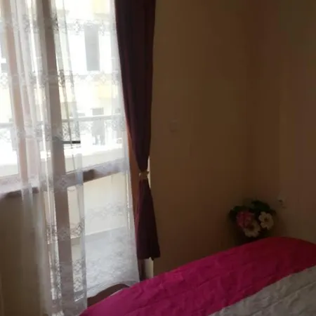 Andjelina 2 * Varna
