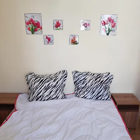 Apartment Andjelina 2 *