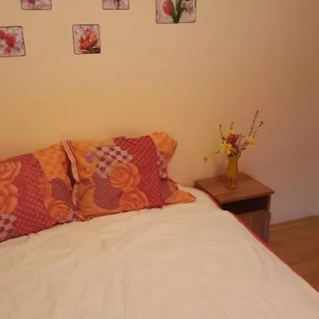 Andjelina 2 Varna