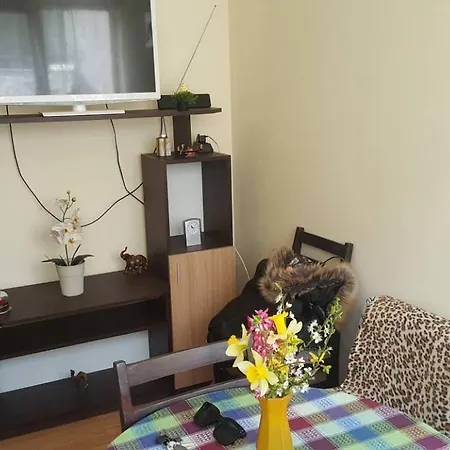 Andjelina 2 Apartment *