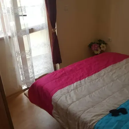 Andjelina 2 וארנה