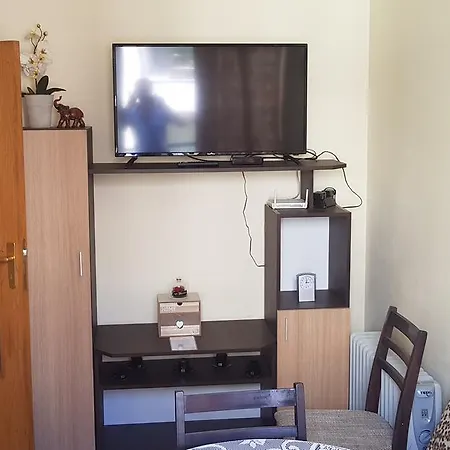 Andjelina 2 * וארנה